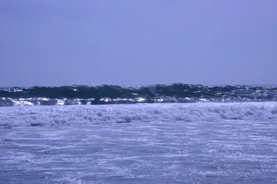 DSC_2129 (Large).JPG